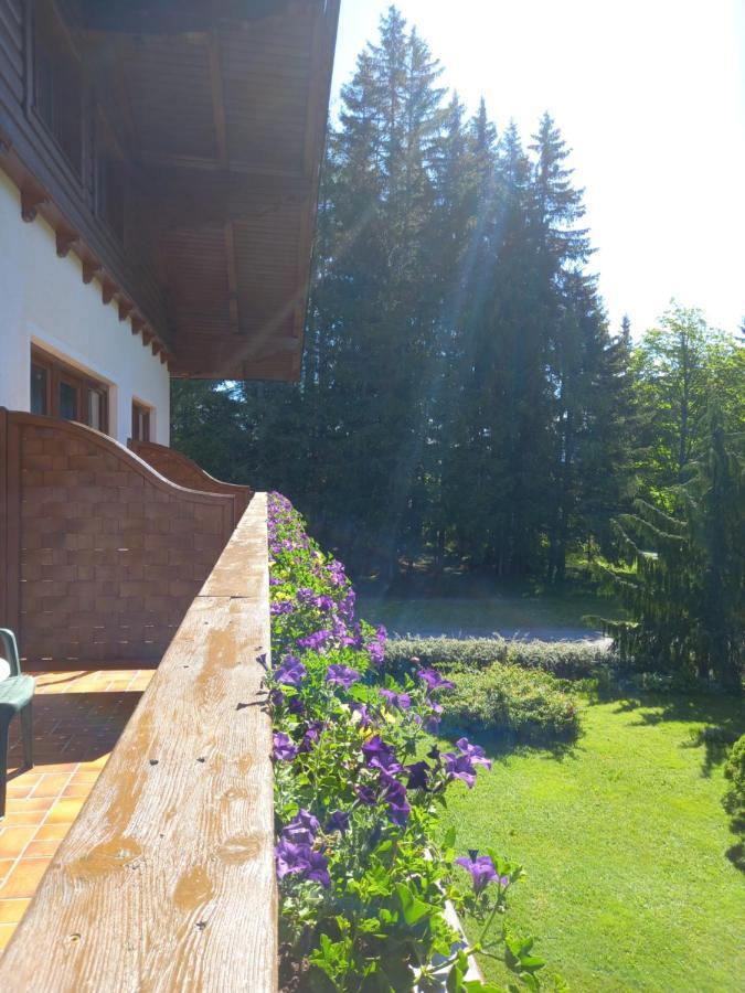Landhaus Wieser Ramsau am Dachstein Exterior foto