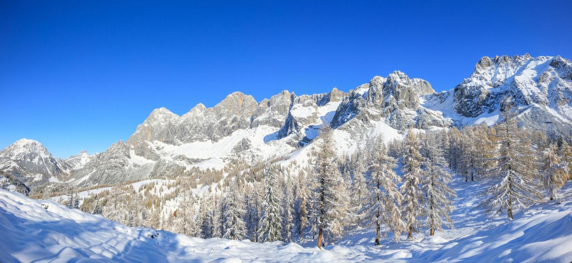 Landhaus Wieser Ramsau am Dachstein Exterior foto